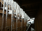 Icicles