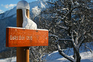 signpost